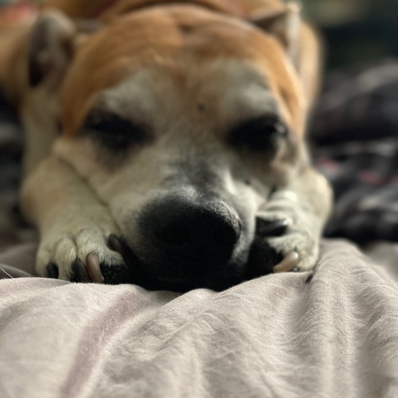 Meet your Posher, Michele - Picture 5 of 8